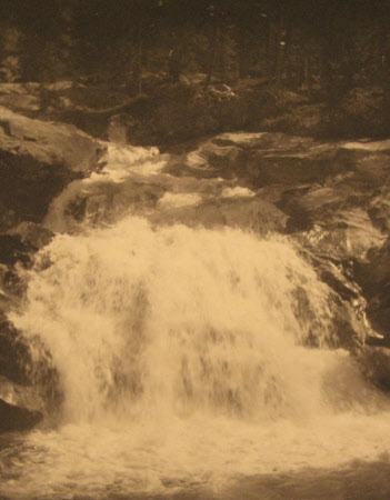 Monochrome print contained in album