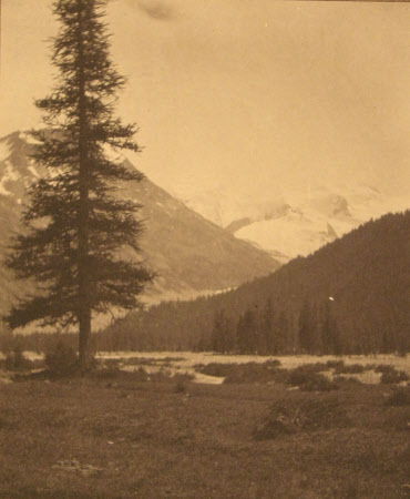 Monochrome print contained in album