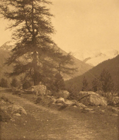 Monochrome print contained in album