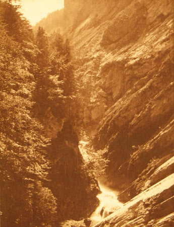 Monochrome print contained in album