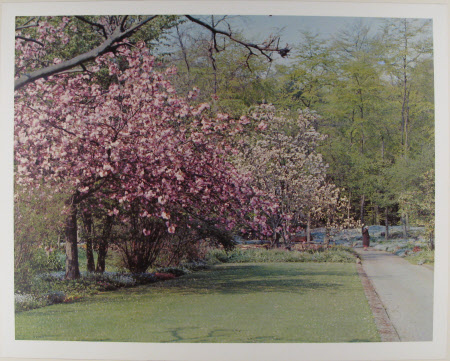 Colour print