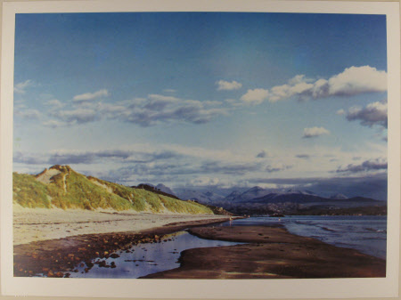 Colour print