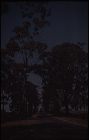 Australia - Near Sydney