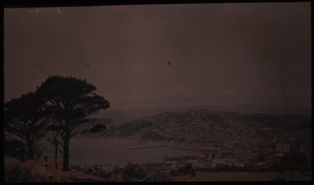 Wellington, From Kelburn