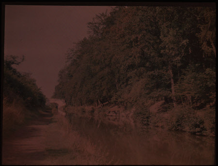 Colour transparency