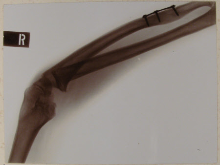 Laboratory of Radiographic Research