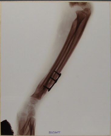 Laboratory of Radiographic Research