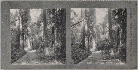 End of the Track, New Zealand