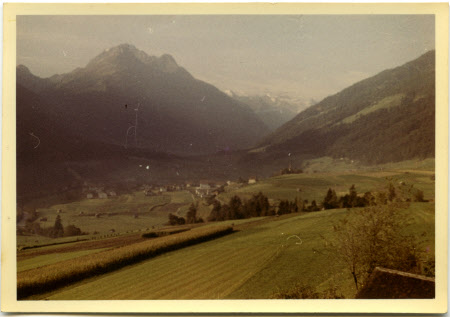 Elfer, zwolfer, Habicht 