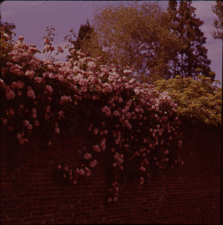 Barrington Court