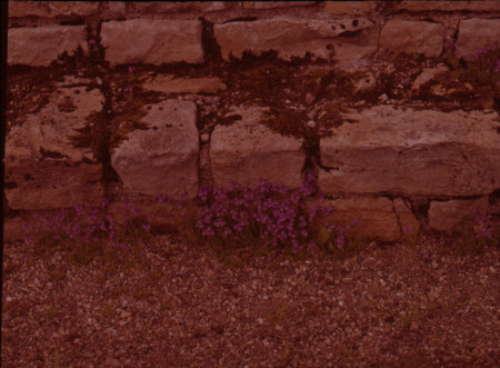 Chester. Hadrian's Wall