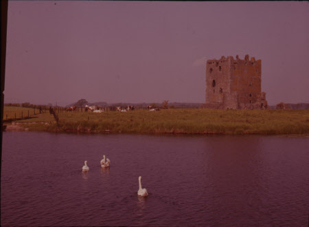 Threave Castle