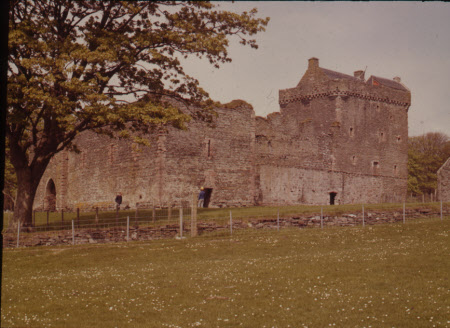 Skifness