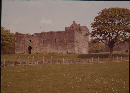 Skifness