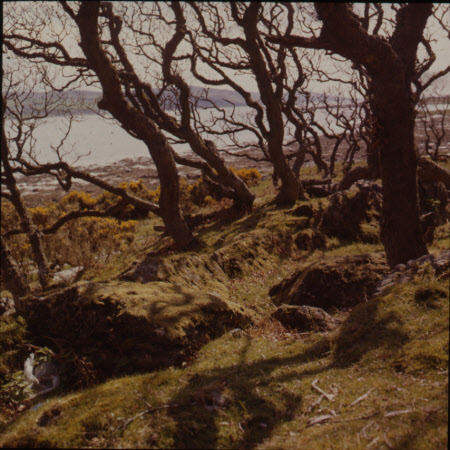 Ardfatrick