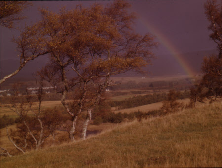 Rainbow Nr. Kingussie