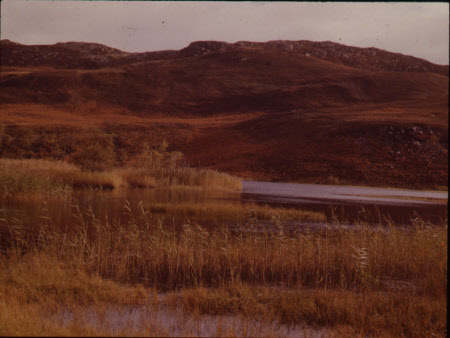 Above Rannoch