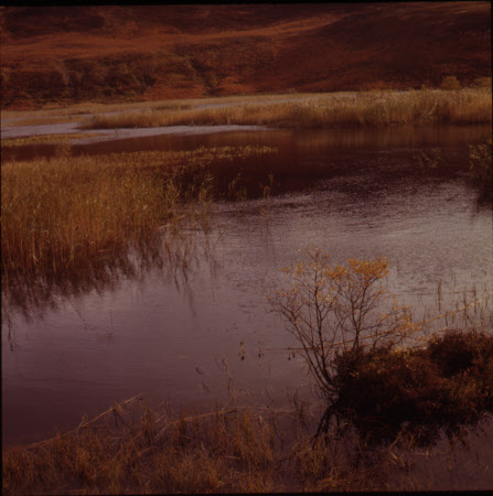 Above Rannoch