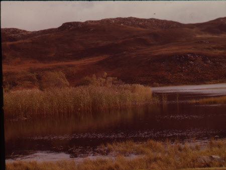 Above Rannoch