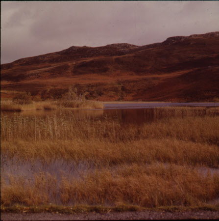 Above Rannoch