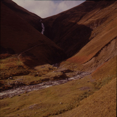 Greymare's Trail