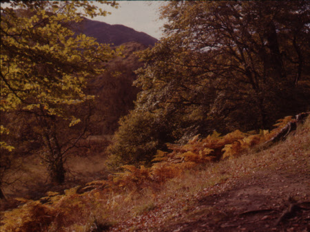 Glen Lyon
