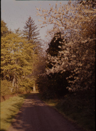 Dunkeld