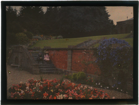 Colour transparency