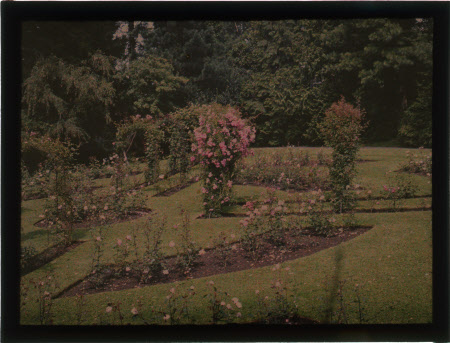 Colour transparency