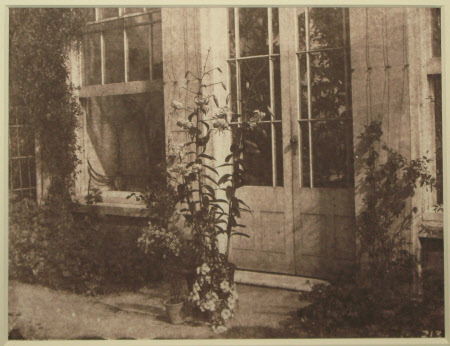 Lilies in Front of a Door