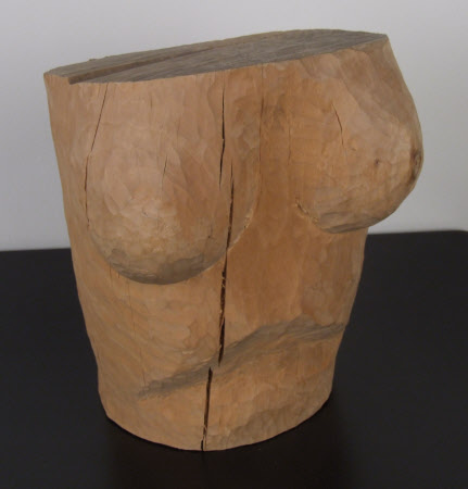 Torso