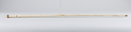 Walking stick