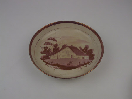 Dish