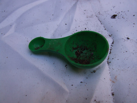 575 Wandsworth Road © National Trust / Geoff Lowsley