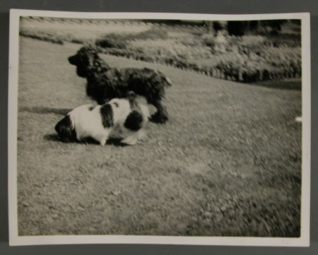 Photograph
