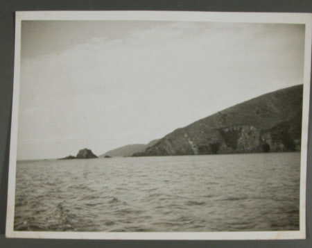 Photograph