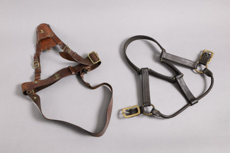 Holster