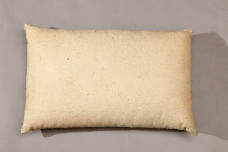 Cushion
