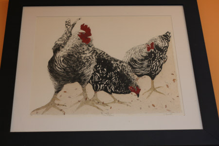 Three black and white Chickens