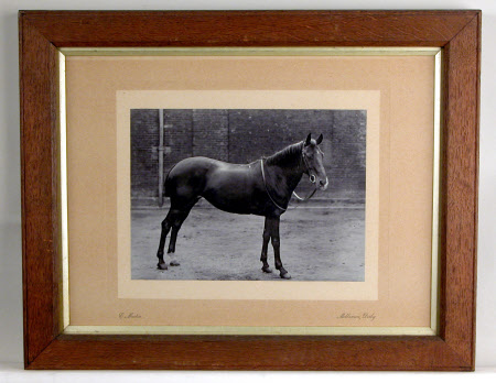 Photograph
