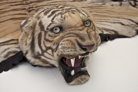 Giant Tiger Head Office – Lundy