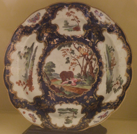 Dish