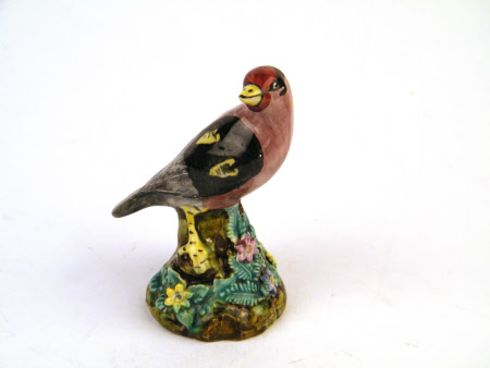 Bird whistle