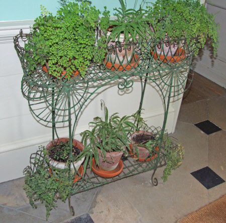 Plant stand