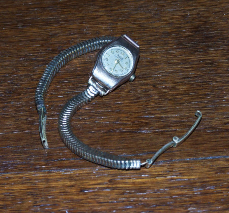 Wrist watch