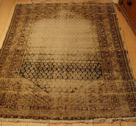 Rug
