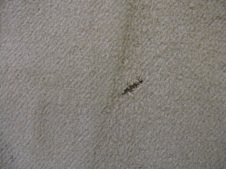Shaw's Corner © National Trust / Textile Conservation Studio