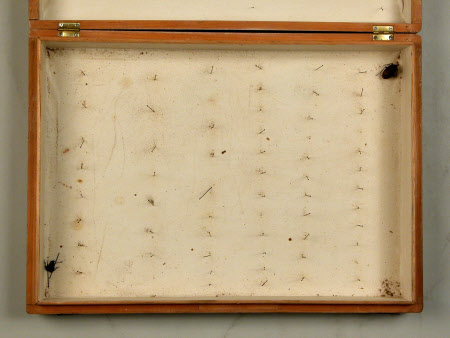 Specimen box