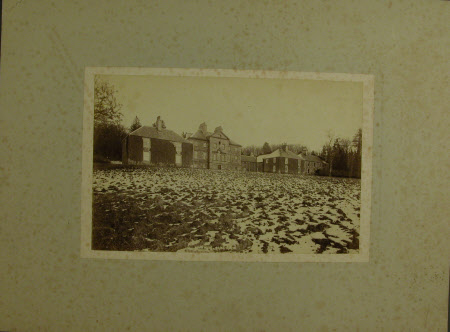 Ward House