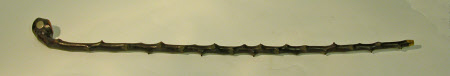 Walking stick